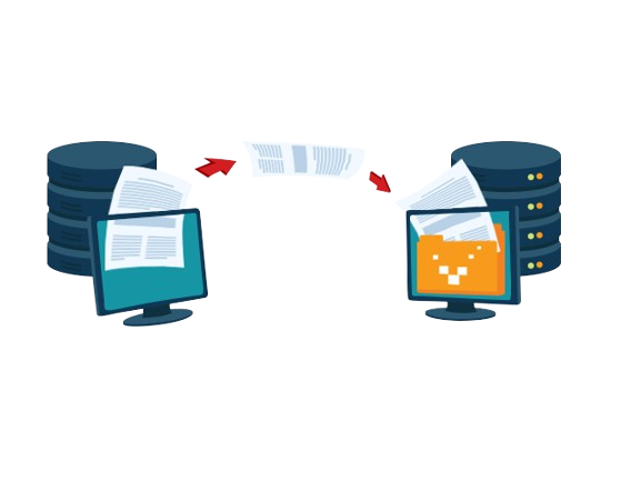 Free Website Migration